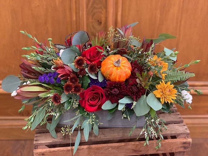 Autumn Elegance