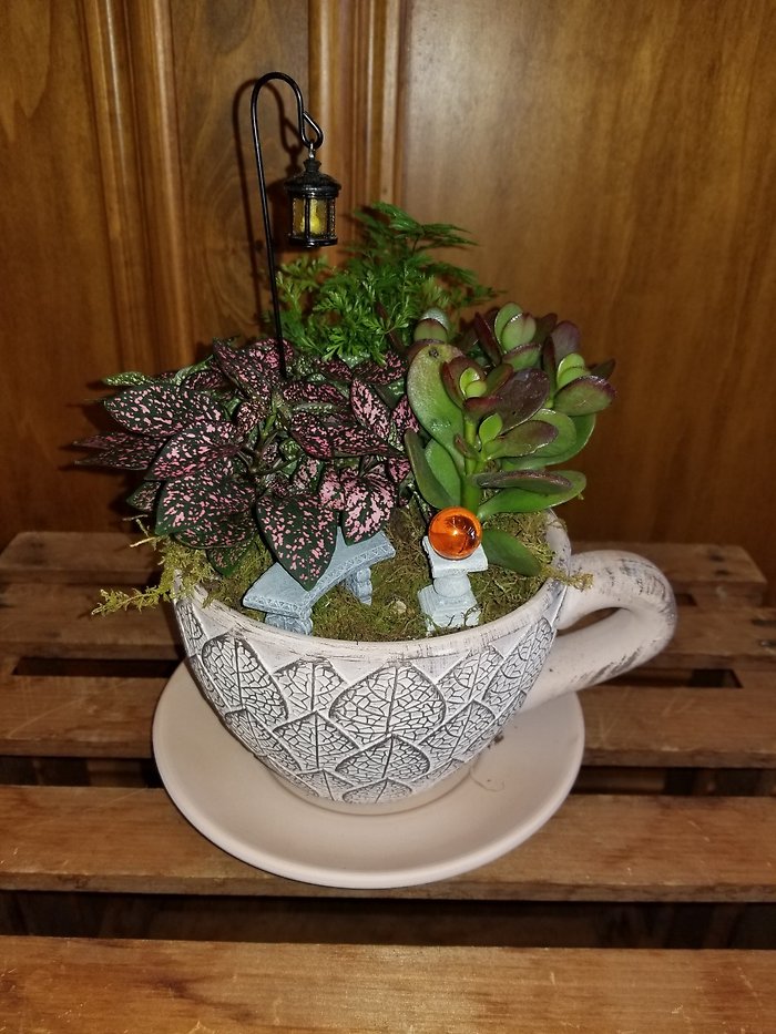 Giant Teacup Planter