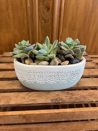 Succulent and Sage