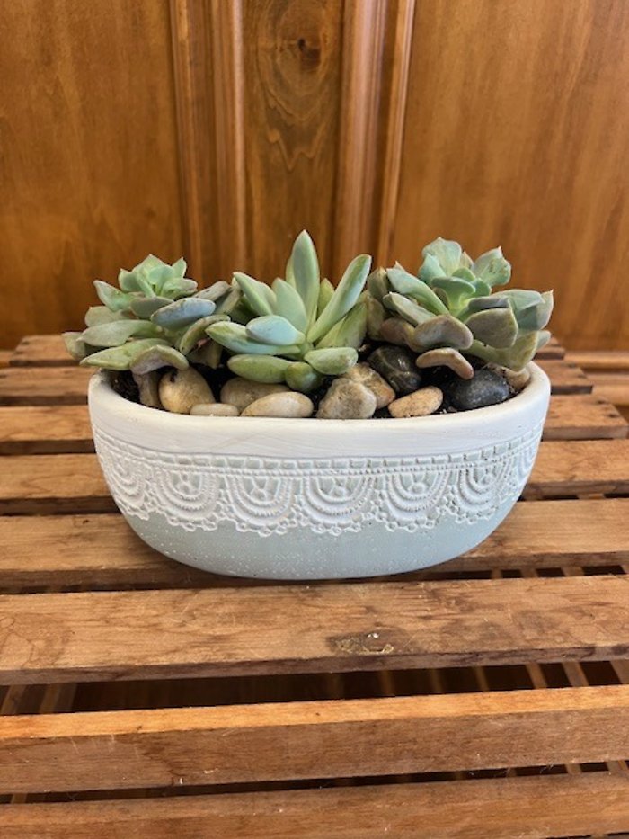 Succulent and Sage