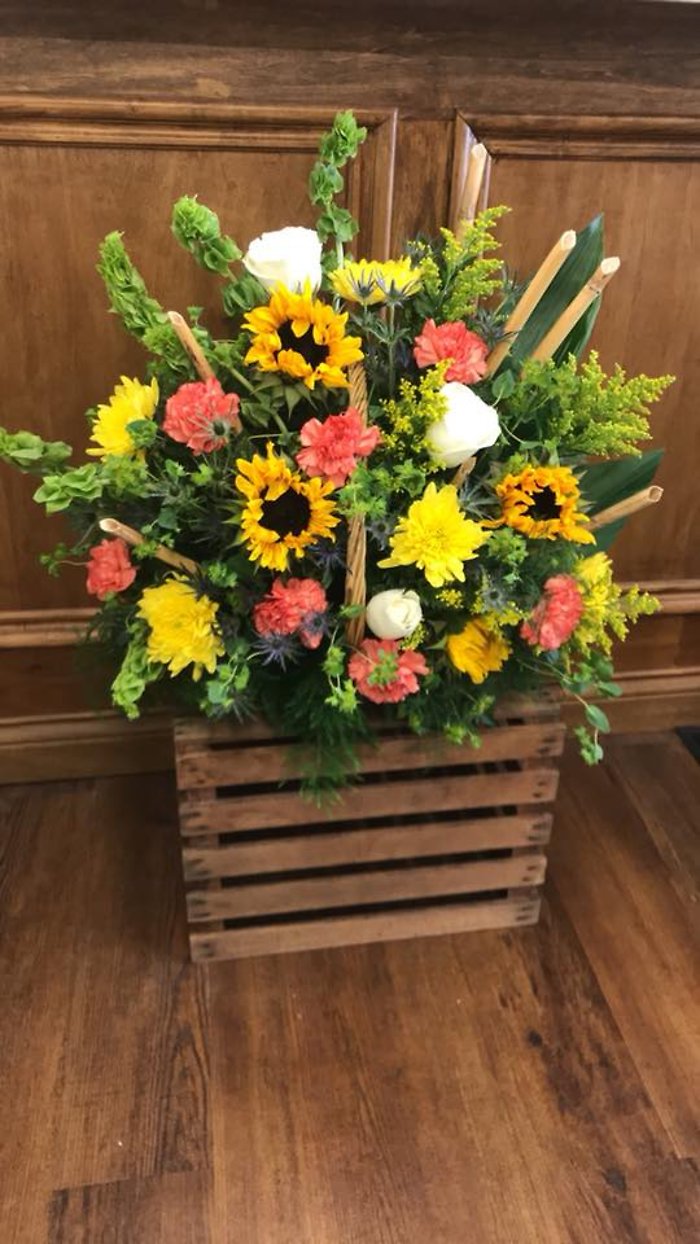 Warmth Basket