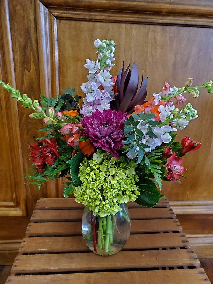 Colorful Splendor